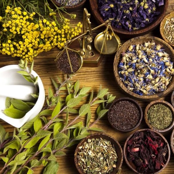 ركن الاعشاب - Coin des herbes