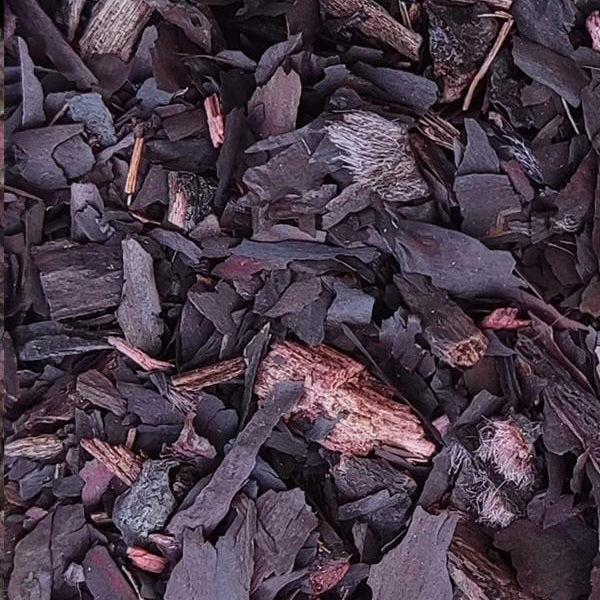 الخواجوة - Galanga