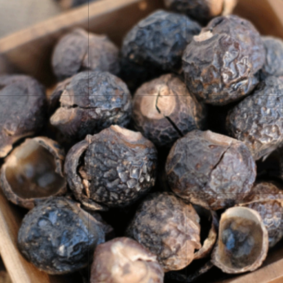 الريثا الهندية - Reetha indienne