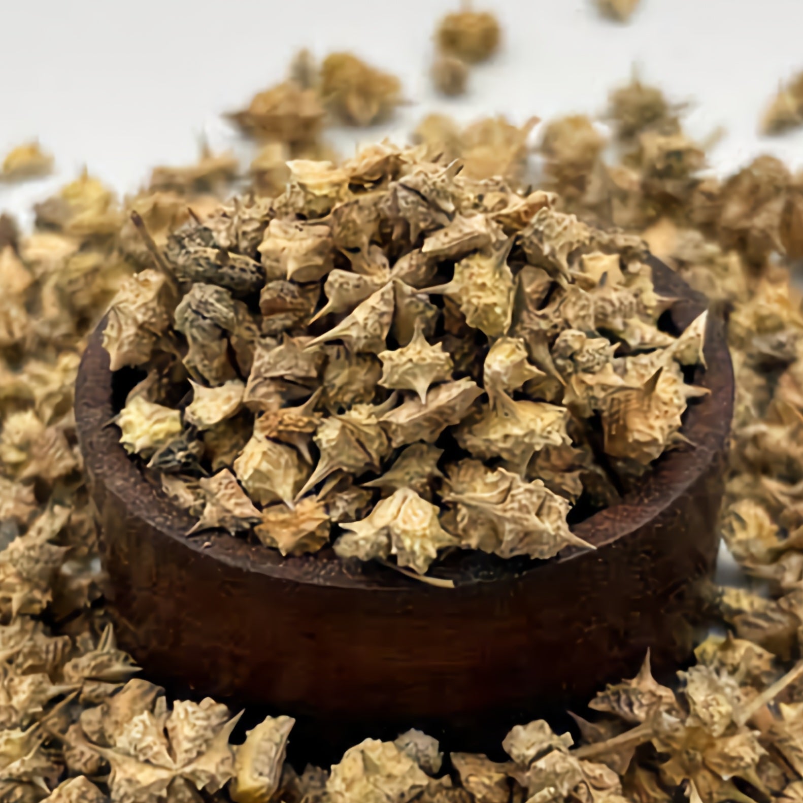 الحسكة - Tribule terrestre