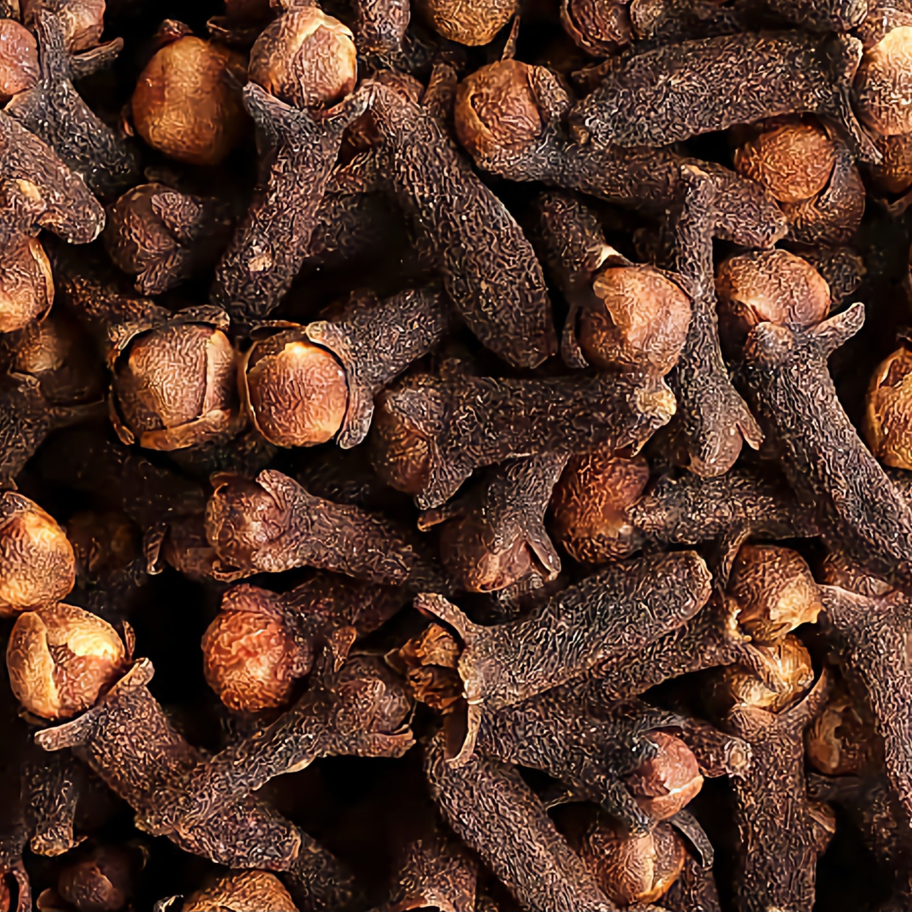 القرنفل → Clou de girofle