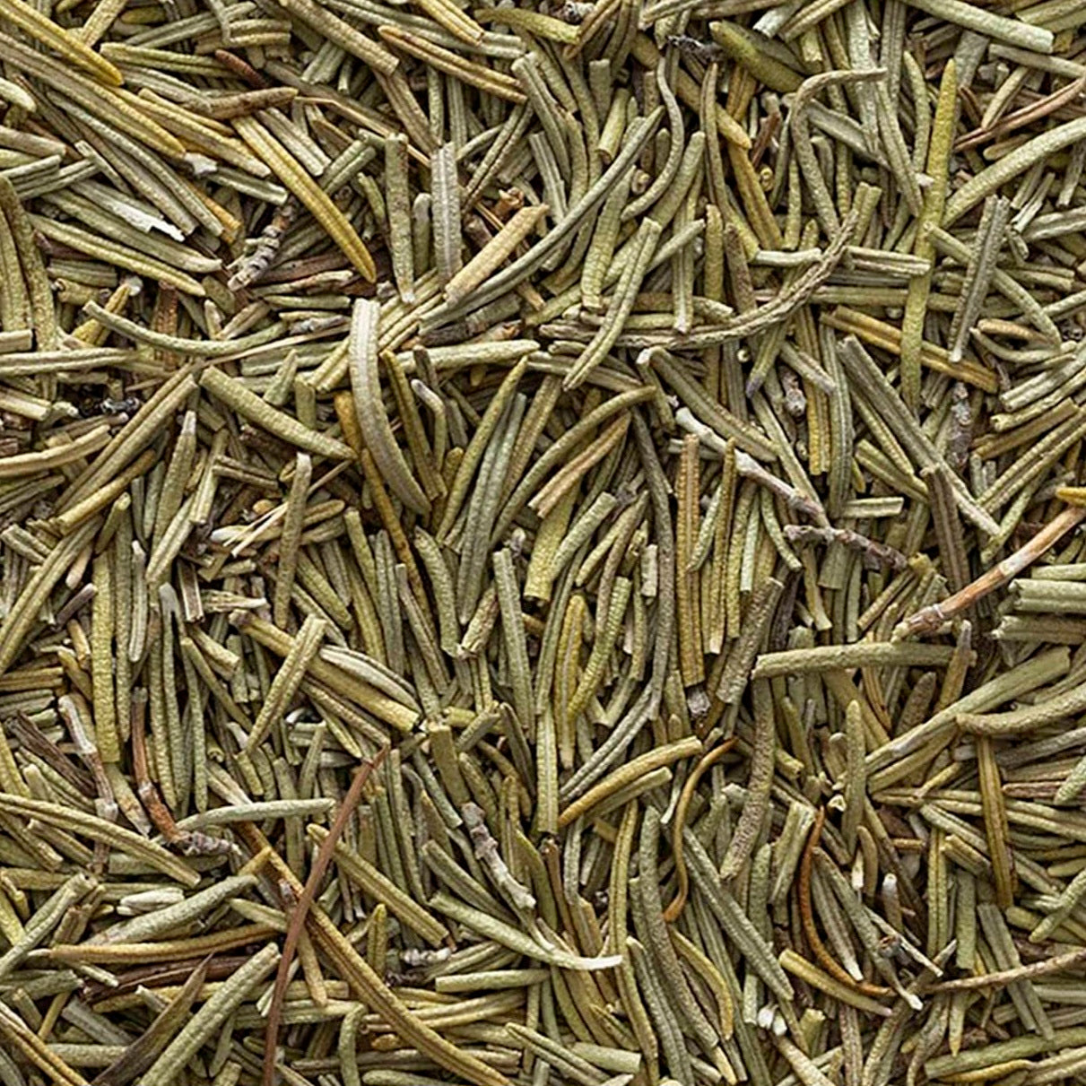 اكليل الجبل - Romarin