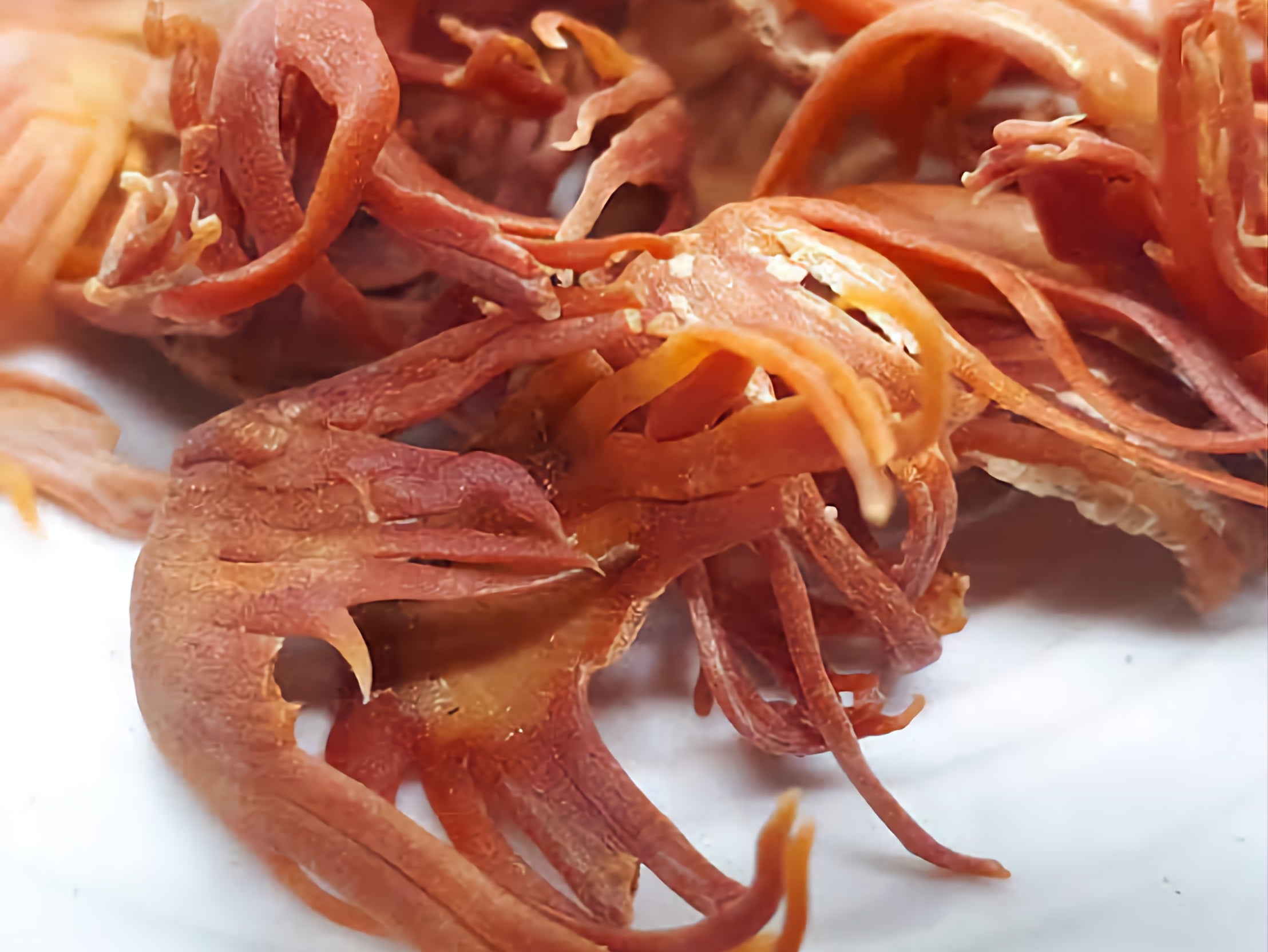 البسيبسة - Macis